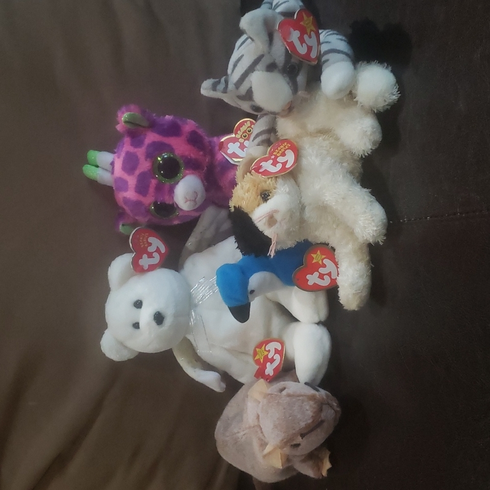 ty bundle